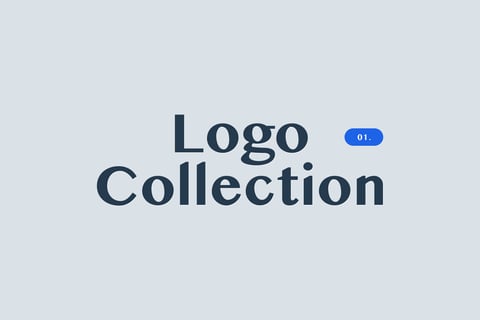 Logo and Brand Identity Design Projects project
