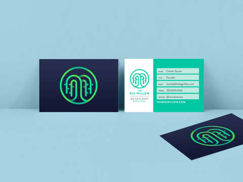 The Big Willow Art Direction and Identity project