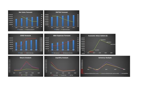 Cash Flow and P&L Forecast project