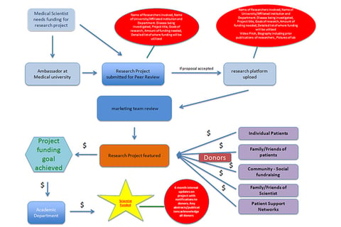 5-year Cash Flow Forecast project