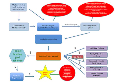 5-year Cash Flow Forecast project