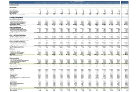 Fully Dynamic Financial/Valuation Model project