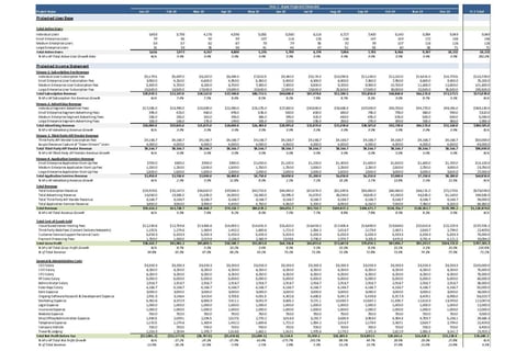Fully Dynamic Financial/Valuation Model project