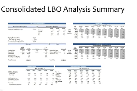 Summary LBO Financials project
