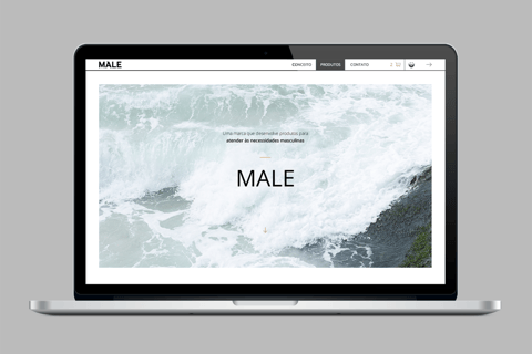 Male project