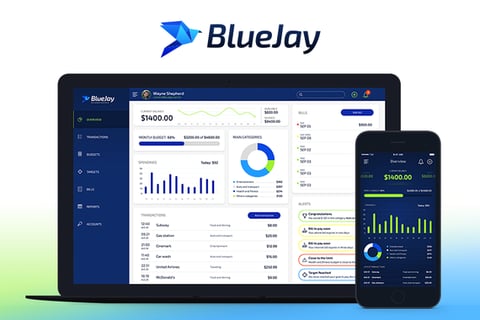 Blue Jay | Budget Planner project