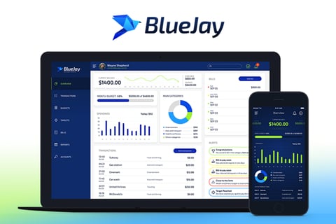 Blue Jay | Budget Planner project