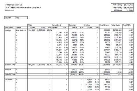Cap Pivot Table project