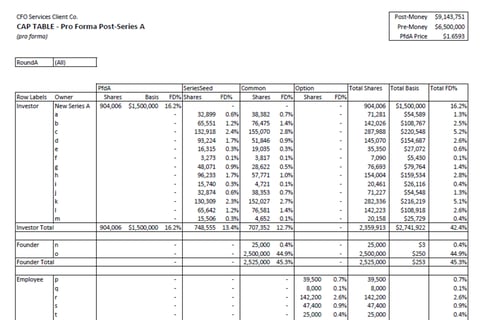 Cap Pivot Table project