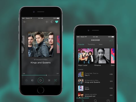 Bass Mobile App project