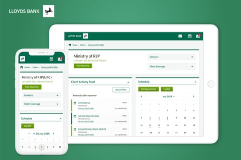 Lloyds CRM System project