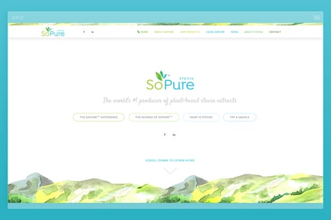 R&D Mobile Responsive Website project