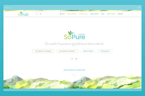 R&D Mobile Responsive Website project