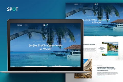SPOT | Website Design project