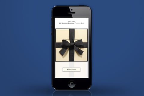 Estee Lauder project