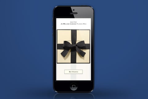 Estee Lauder project