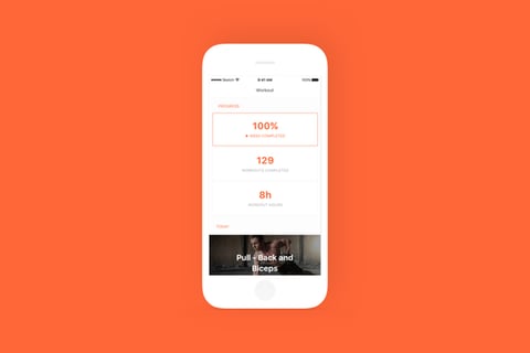 StriveFit project
