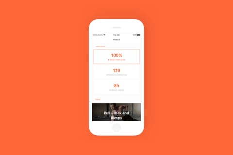 StriveFit project