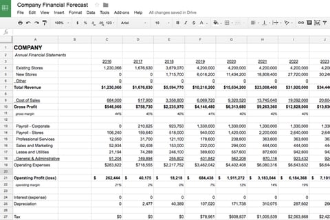 Fully Dynamic Pro Forma Financial Forecasts project