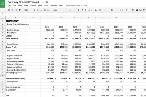 Fully Dynamic Pro Forma Financial Forecasts project