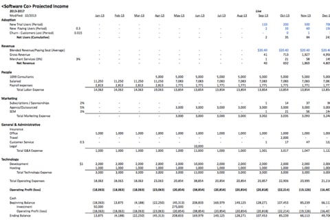 Financial Model for a Startup Software Company project