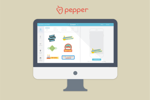 Pepper.io project