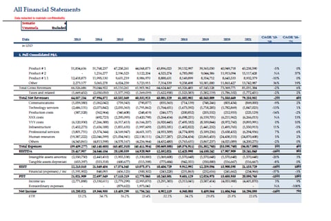 Operating Model & Due Diligence project