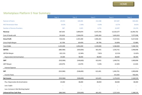 Financial Model for a Marketplace Platform Startup project