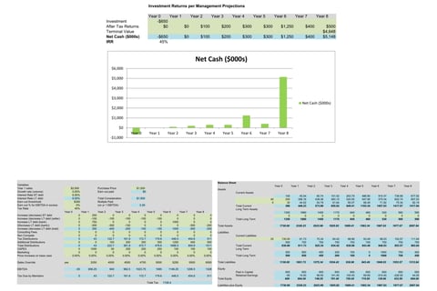 P&L Forecast for Private Equity Acquisition project