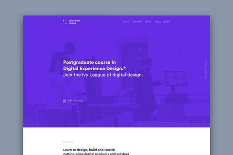 DXD Postgraduate Course (Website) project