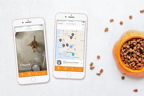 CamCare Pet App project