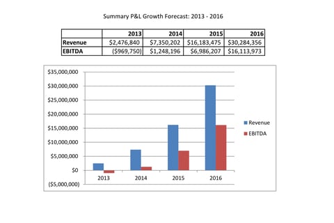 P&L Model for a Potential Venture Investment project
