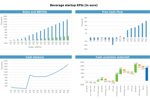 Fully Dynamic Financial Model project