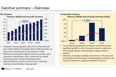 Financial Evaluation Presentation (Due Diligence Extract) project