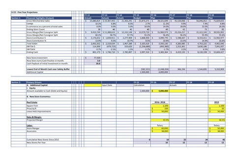 Financial Model and Budget project