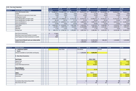 Financial Model and Budget project