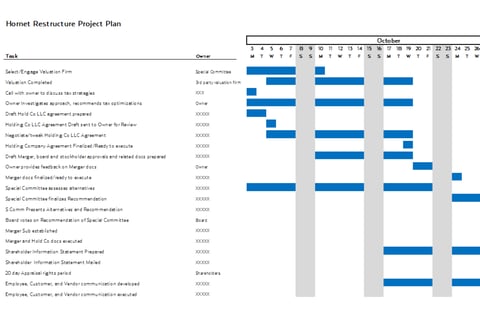 Capital and Entity Restructuring of a Tech Company project