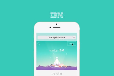 IBM.com project