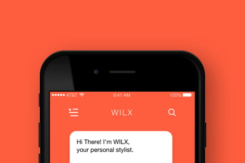 WILX project
