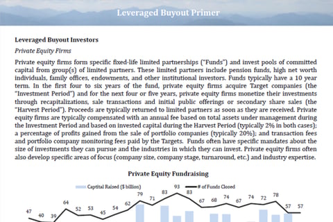 Primers on M&A Transaction Types project