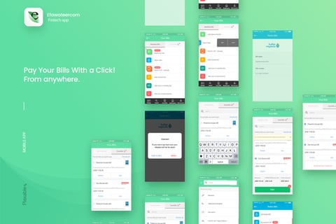 Fintech Platforms | eFawateercom project