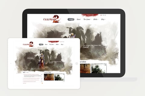 Guild Wars 2 project