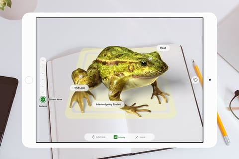 FroggiPedia Augmented Reality Education App project