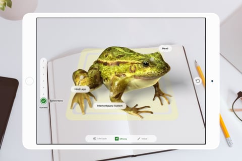 FroggiPedia Augmented Reality Education App project