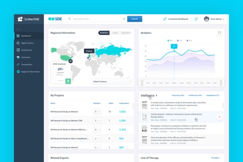 SDE Web App project