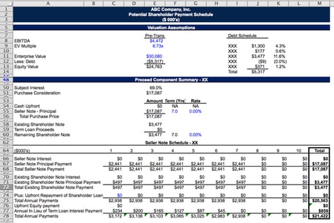 Shareholder Buyout Model project