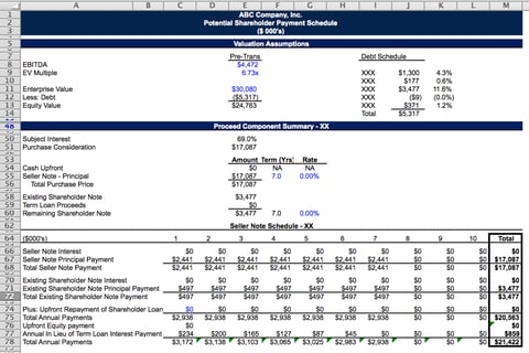 Shareholder Buyout Model project