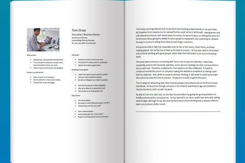 Consulting Site Personas project