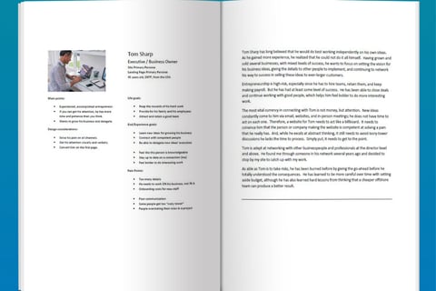 Consulting Site Personas project