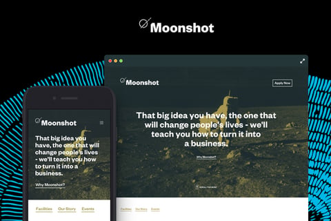 Moonshot project